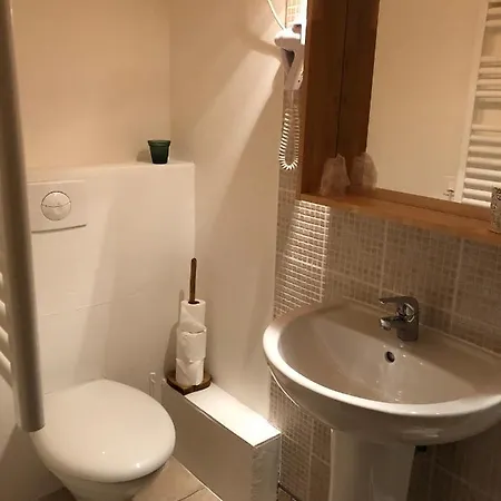 Hotel De La Foret Auris