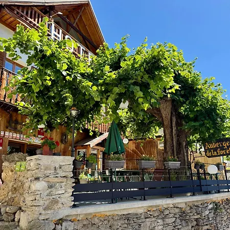 De La Forêt - Hotel Auris