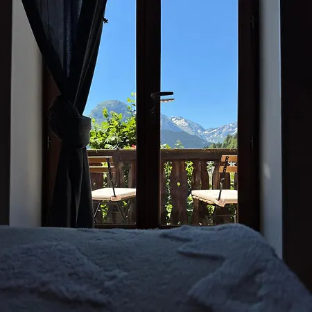 De La Forêt - Hotel Auris